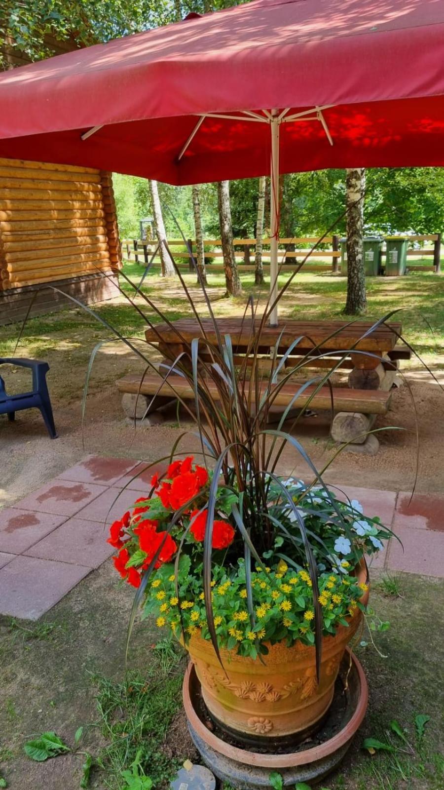 Camping Oskalns Cēsis Dış mekan fotoğraf